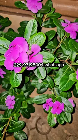 la spiritualité na pas de limite 