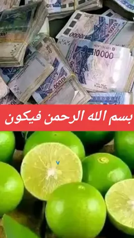 seifoulayi ⚔️#vi faïda très important écoute et partager 