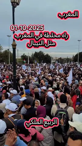 الشعب المغربي يخرج في مظاهرات عارمة اليوم  #Morocco #المغرب🇲🇦 مظاهرات النيبال #cazablanka  المغرب اليوم الرباط الحسيمة أكادير الدار البيضاء فاس #النيبال_يتجدد_في_المغرب الربيع الملكي يتجدد في المغرب #الجزائر_تونس_المغرب طنجة وجدة جيل 212 Z
