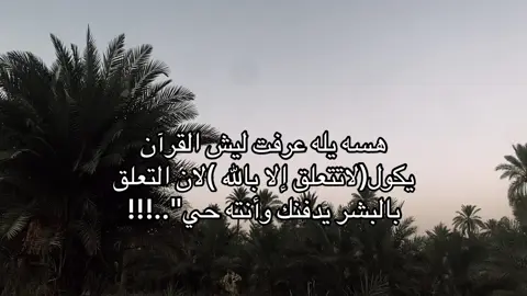 #creatorsearchinsights #يالله_ارحمنا_برحمتك_ياارحم_الراحمين 