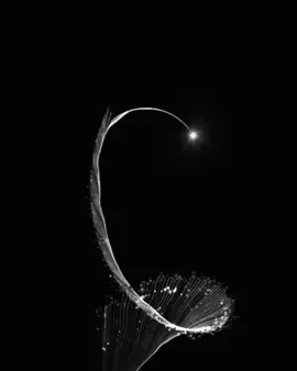 Kann es der Grund sein? #viral #foryou #fy #mindset #neuroplasticity #psychology #universum #erfolg #spiritualität #Seele 