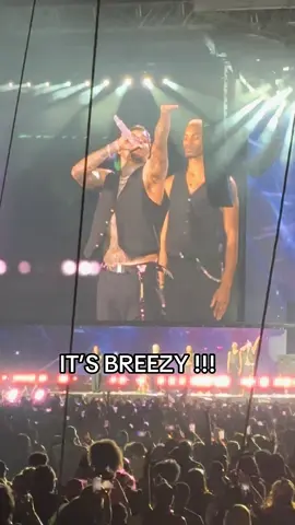 Yall felt that too right ?? 🤭 #breezybowl #orlando #chrisbrown #fyp #teambreezy 