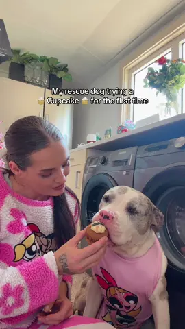 After being malnourished and ab*sed, she deserves all of the good food. She takes the food all in. She adores all those different new flavors. And she loved this doggy cupcake that is made for dogs 🧁🩷 #fy #fyp #bundleofbullies #dogsoftiktok #dogs  