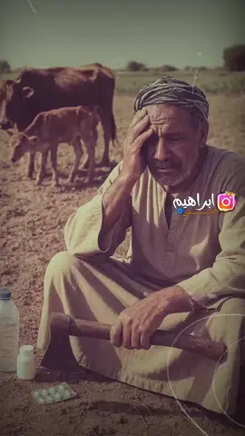 جمعت المال وضهري مال 💔🥲