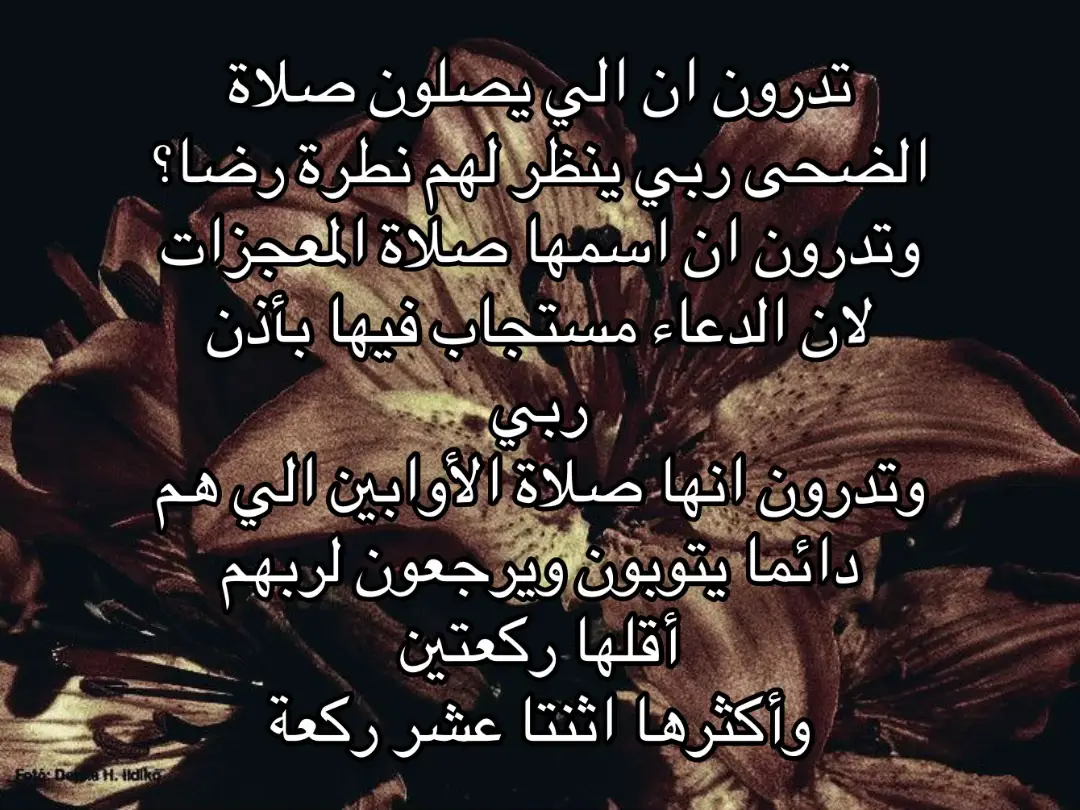 #صدقه_جاريه_لي_ولكم #صدقه_جاريه_لجميع_اموات_المسلمين #قران_كريم #قران 