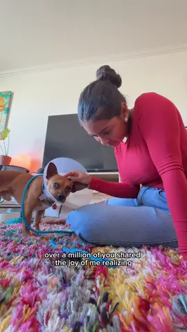 I hope whoever was lucky enough to love him first knows how loved he is ❤️ @Wags & Walks Rescue #fyp #rescuedog #fosterdog 