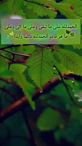 #خواطر #tiktok 