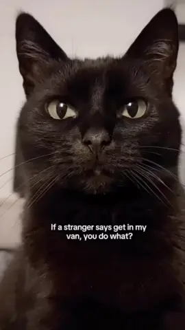 NEVER GET IN THE VAN