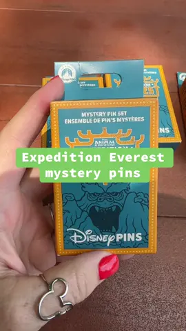 This is my most favorite ride in all the parks…we need more of these kinds of pins! #disney #unboxing #pintrading #disneypins #blindbox 