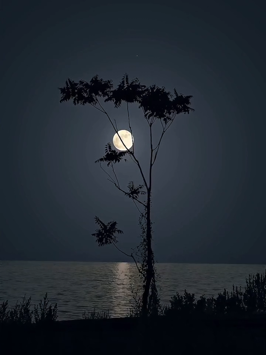 Moon 🌙