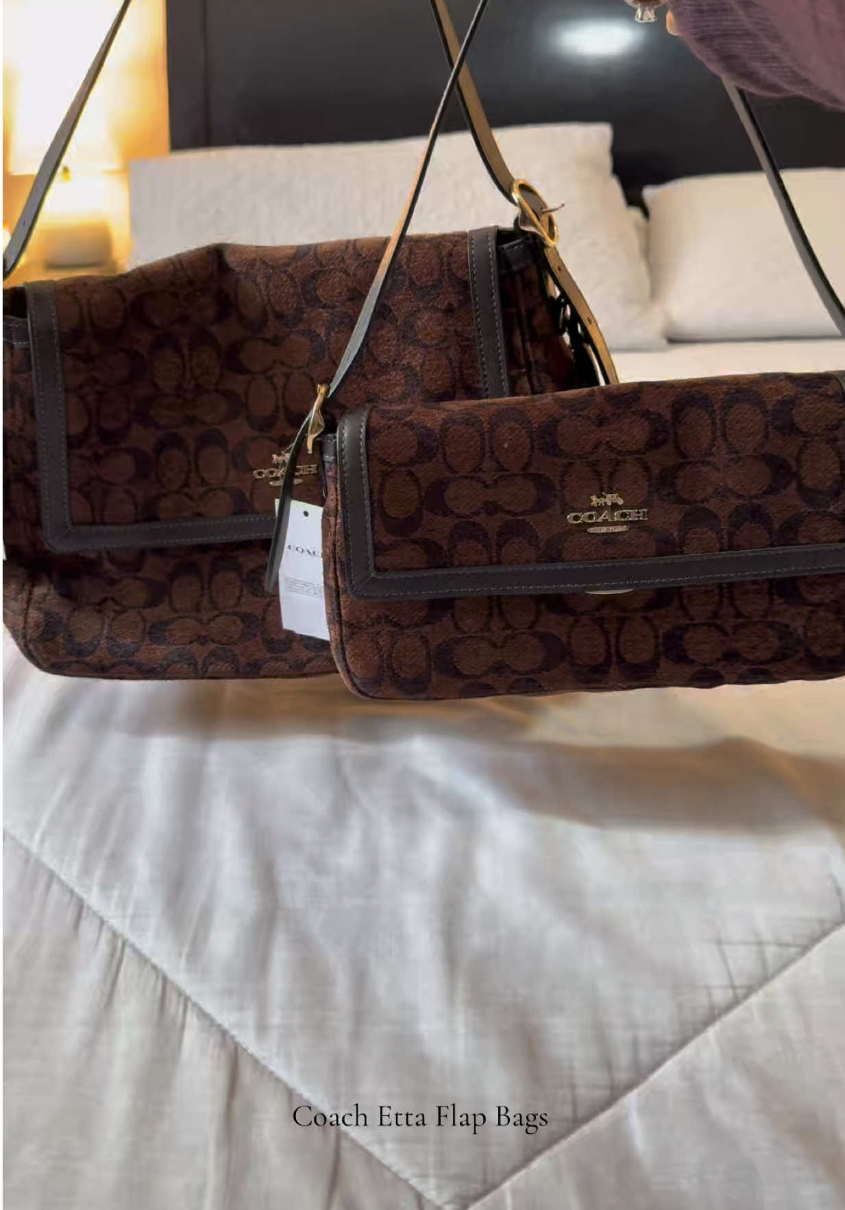 Secured the bags! I’m OBSESSED 🤎 @Coach #coachetta #coachbag #coach 