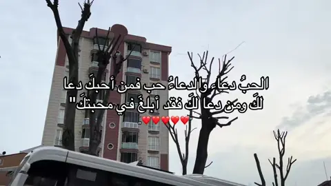 #حب #حلال #الدعاء #استجابة_الدعاء #بدون_موسيقى 