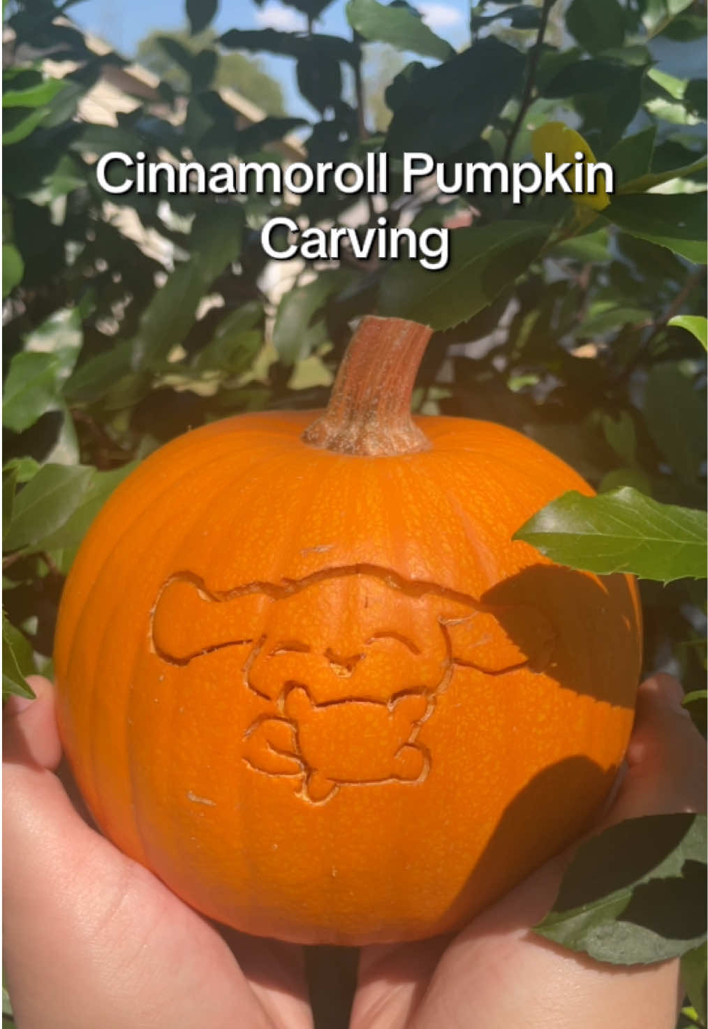 Didn’t turn out how’d I’d like but 🤷🏻‍♀️ #sanrio #cinnamoroll #cinnamorollsanrio #sanriocinnamoroll #pumpkin #halloween #october 