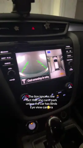 oh and forget merging lanes without blind spot detector 😃