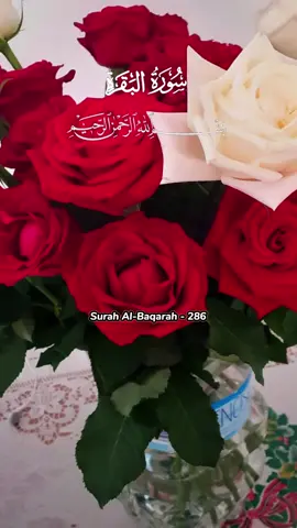 #CapCut #alquraan #islamic_video #for_all_muslim #pace 