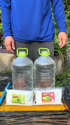 #hidroponia #hidroponik #cultivo #huerto 