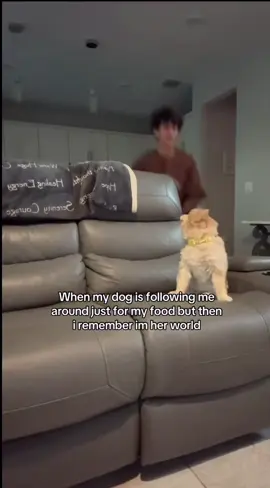 i love her #fypシ゚viral #mydog #views #florida #miami 