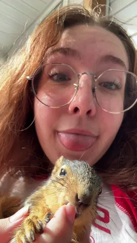 me and twinn fr just chillinggg #squirrelsoftiktok #squirrel #catdistributionsystem #whatdoido #foryoupage 