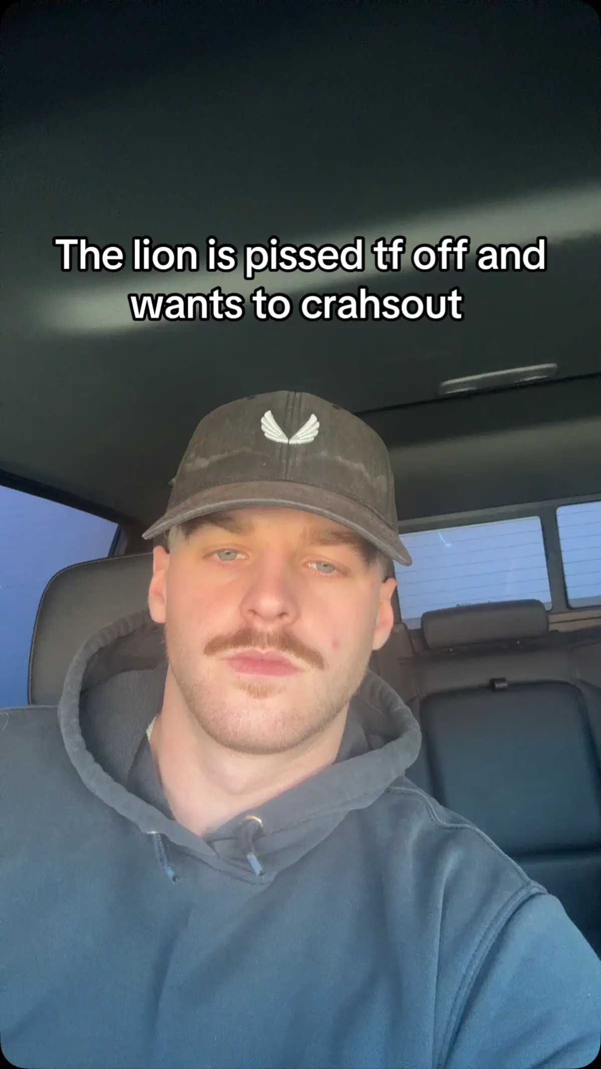 #thelion 