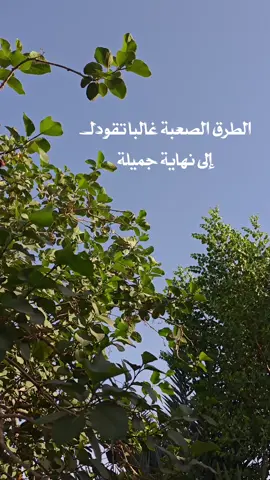 الطرق الصعبة غالبا تقودك إلى نهاية #تصويري_احترافي_الاجواء👌🏻🕊😴#عباراتكم_الفخمه📿📌#تصويري📷#متابعه_ولايك_واكسبلور_احبكم#غيوم 