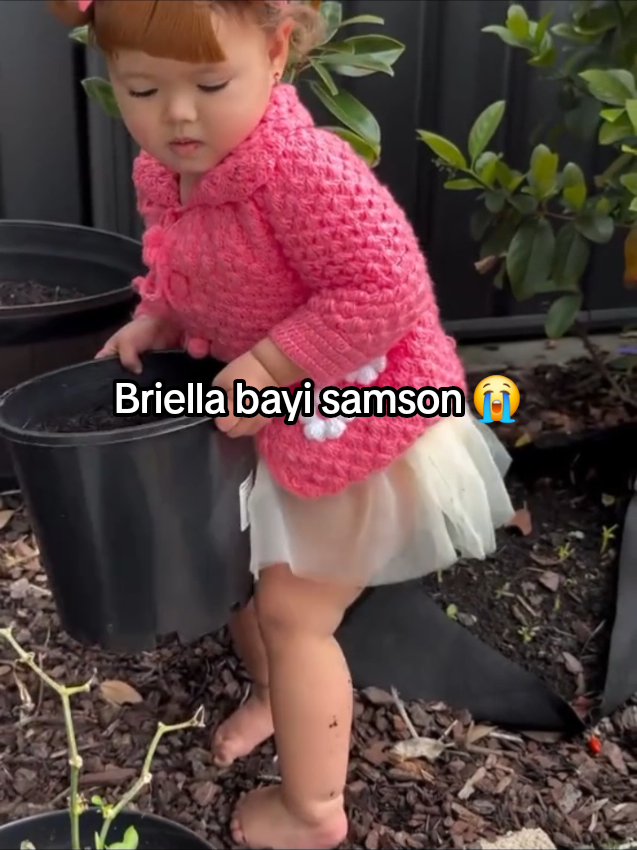 briel,kuat bangett kamu😭😆 #briella #samson #core #fyp #fypgakni 
