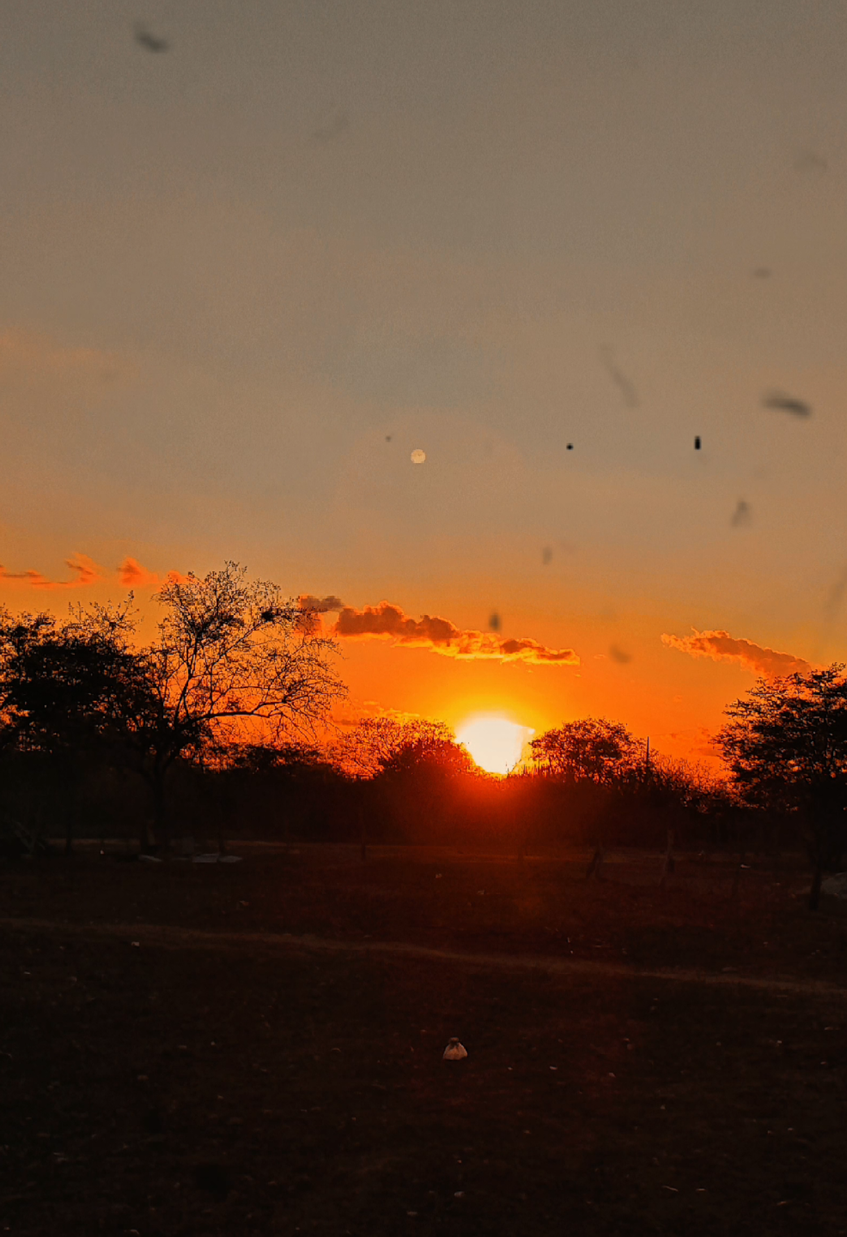 Tenha seus princípios 🙏🏻👊🏻 #motivacional #superação#motivação #conquista #reflexaododia