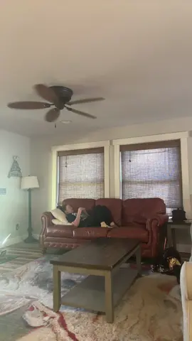 #hazbinhotel #angeldust #charliemorningstar #funny #nomoredrugs 