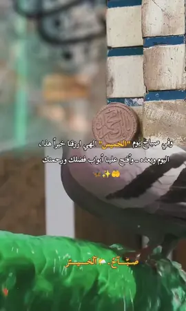 #صباحكم_معطر_بذكر_الله💚🌹🌿🌷😍🌸🙏 #اللهم_صل_على_محمد_وآل_محمد #اللهم #دعاء #اللهم_صلي_على_نبينا_محمد 