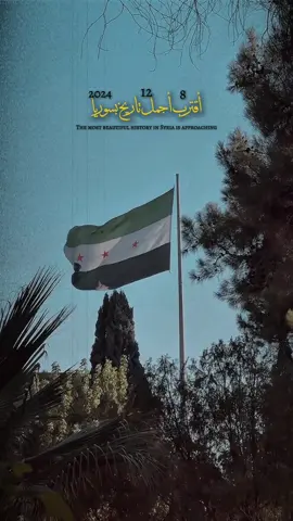 أقترب أجمل تاريخ بسوريا💚🫶🏻 #سوريا #سوريتي #دمشق #اكسبلور #اكسبلور_فولو 