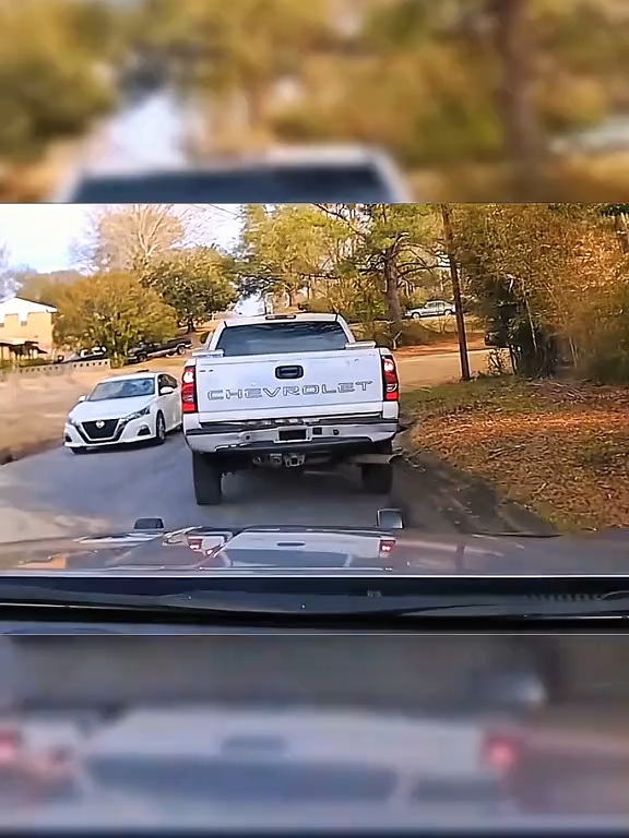 Police chase. Only victim: Garbage Can.