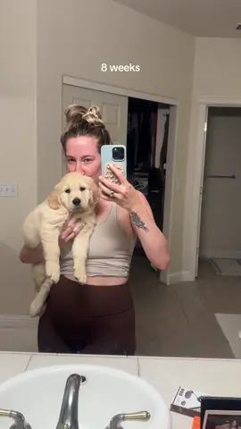 6 weeks with sunny girl 🍦 #goldenretrieverpuppy #puppylove #fyp 