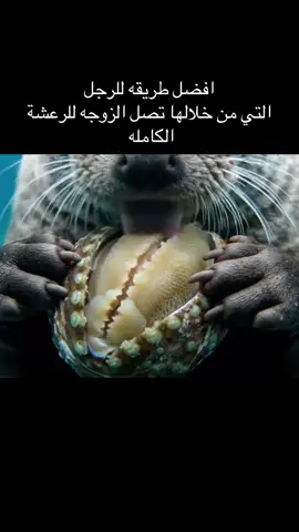 افضل طريقه للرجل  التي من خلالها تصل الزوجه للرعشة الكامله 