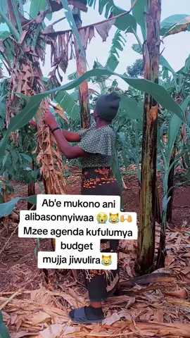 Abe mukono musibye mutya😭😭🤣🤣😂😂🙌🙌🙌