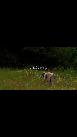 #صاحب_الزمان   #اللهم_صل_على_محمد_وآل_محمد  #فاطمة_الزهراء_عليها_السلام 