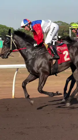 “No Brakes” and “Patyep” #thoroughbred #horseracing #racehorse #racehorseedit #horse 