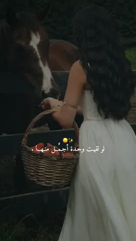 وجودها غير.👌🏻🙂‍↕️✨#راشديةمطنوخة #خيل_وخياله🐎 #capcut #foryou #viralvide 