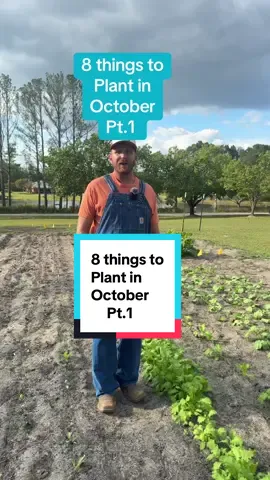 8 things to plant in October!#gardening #fyp #gardentok #homestead #PlantTok 