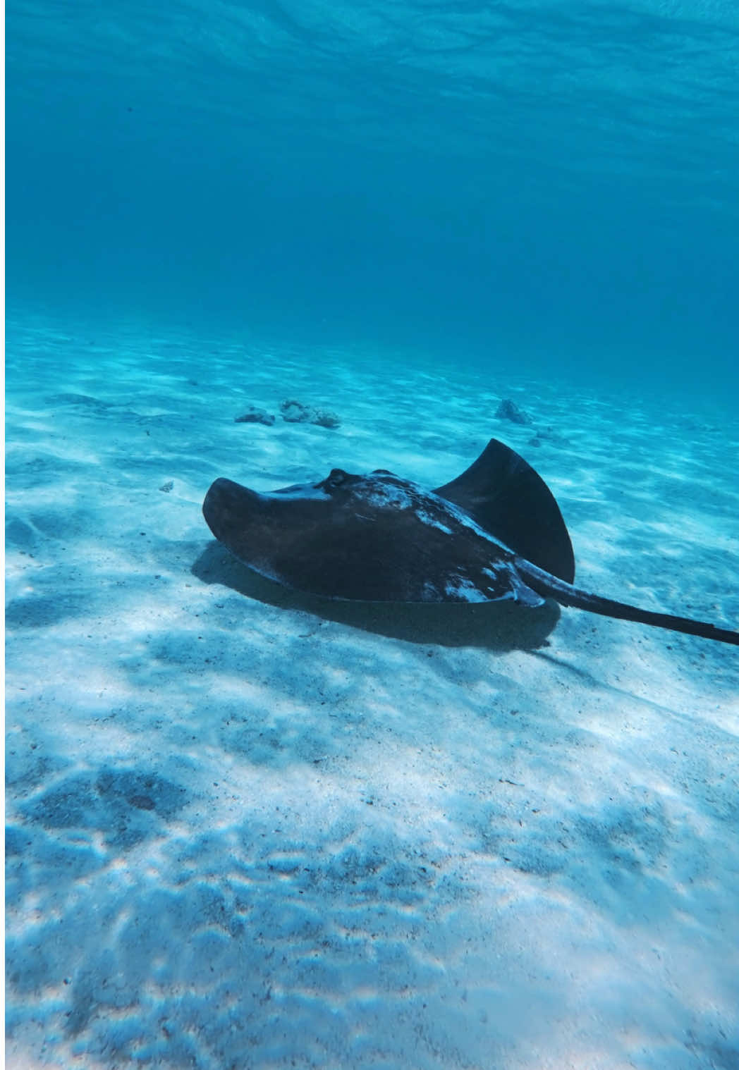 Je pars en coma de 2 mois et je reviens 🤣  #voyage #tourdumonde #backpack #foryou 