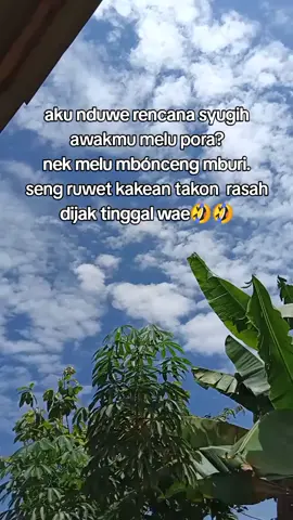 ruwet tinggal🤣🤣