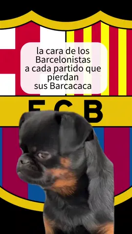 #Meme #MemeCut #CapCut 