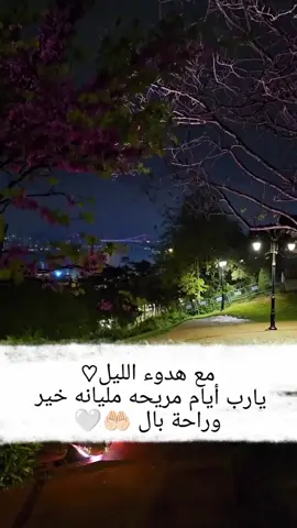 #يارب أيام مريحه مليانه خير وراحة بال #يارب#🤲🏻🤲🏻 #ادعية_اسلامية_تريح_القلب🤍🤲🏻❤ #لايك_متابعه_اكسبلور 