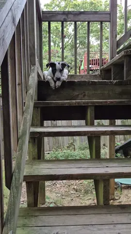 I just love these babies