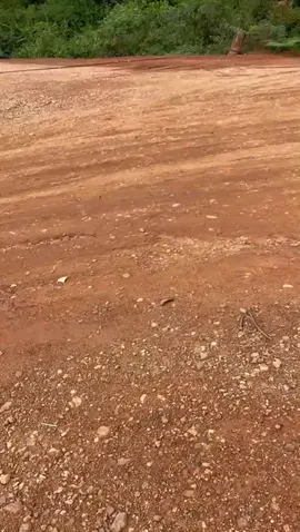 Ele tem as manhas ✌🏻  #balsariojuruena #cristal 