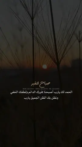 #صباح_الخير #صباحيات_جميلة 