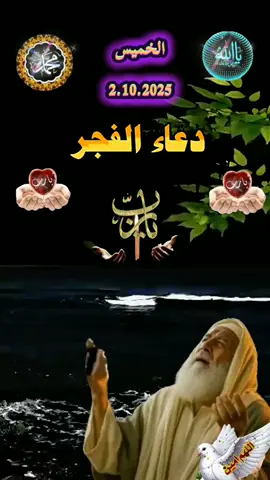 اللهم في هذا الفجر ارزقنا سكينة ورضا وفرجا قريبا واغمر قلوبنا برحمتك وطمأنينتك #دعاء_الفجر #اللهم #استغفار #اللهم_آمين #دعاءالفجر 