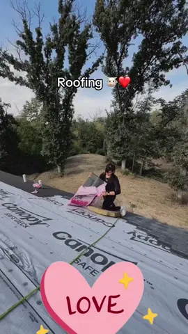 #🙈❤️🐮🥰 #fypシ #viral #construction #roofing 🎶💋