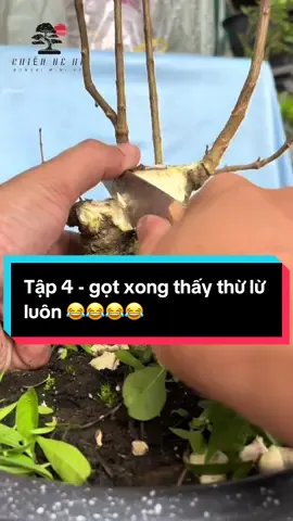 Seri lột xác cho em thuỷ - tập 4 gọt cáiiiiii 