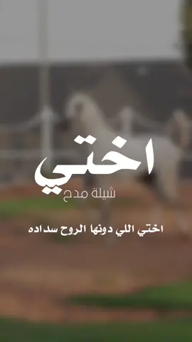 اختي اللي دونها الروح سداده  #شيلات_مدح_شيلات_تباريك_شيلات_زواج_ #السعودية_الكويت_الامارات_قطر #شيلات_روعه_خواطر_ذوق #ppppppppppppppppppppppppppppp🥰 