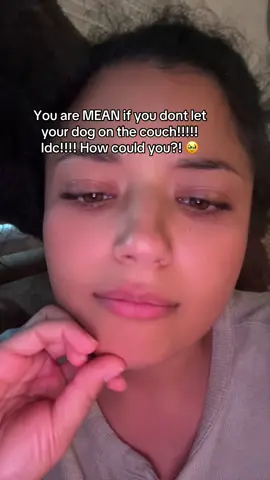 Argue with your momma!!!! What do you mean you dont let your dogs lay on the couch? 🥹 #dogmomlife #fyp 