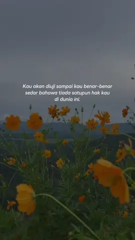 Yang pergi itu bukan milik kita, dan yg datang nanti juga bukan milik kita..Segala milik hanyalah milikNya..